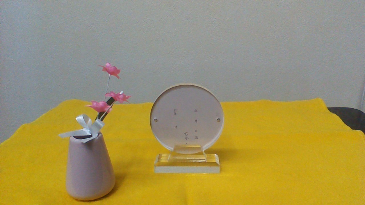 WIN_20201210_142110.JPG